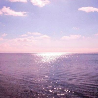 NG体育·(南宫)app下载