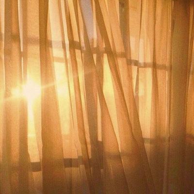 B体育手机版在线