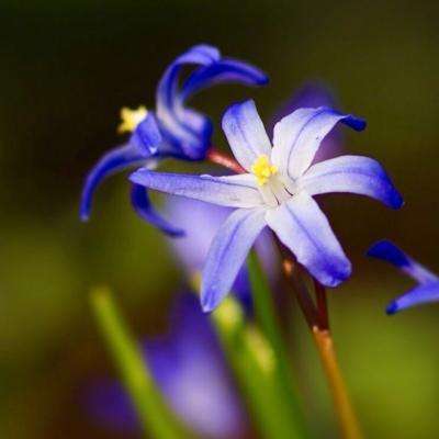 云顶集团下载手机版