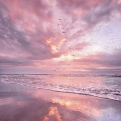 必博手机网页版手机app下载