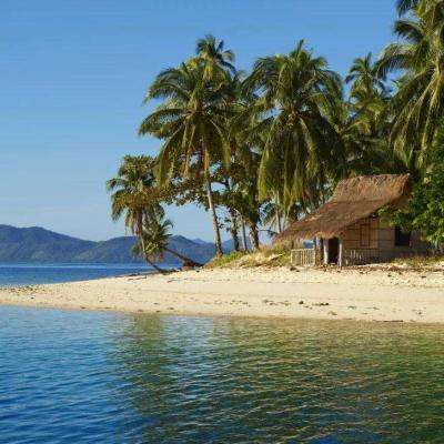 星空体育平台官网