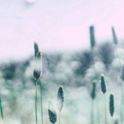 188金宝搏手机app下载