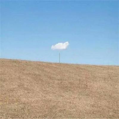 188金宝搏手机app下载截图