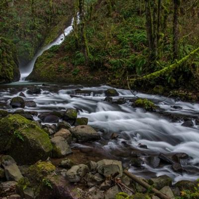 星空体育平台官网下载手机版