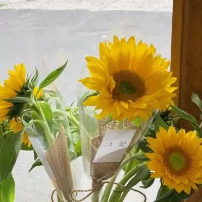 云开·体育官方网站