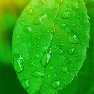 im电竞手机app下载