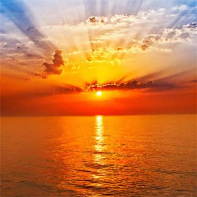 彩信平台官网手机app下载