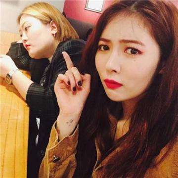 凤凰彩票app下载手机版